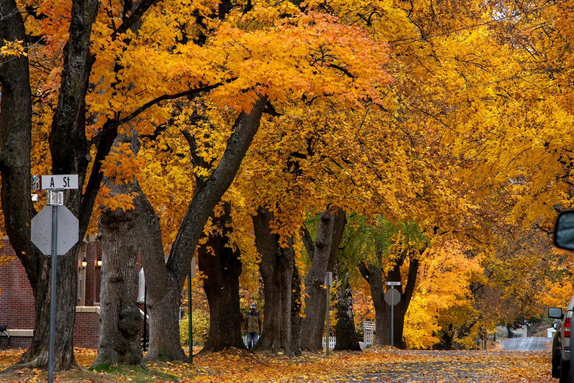 Main Street in Moscow, Idaho — private AI infrastructure for university-adjacent businesses, law firms, agricultural operations, and healthcare in Latah County
